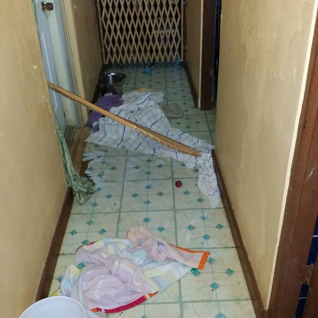 20150516_184913.jpg image